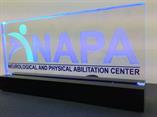 NAPA Centre USA Logo 200mm